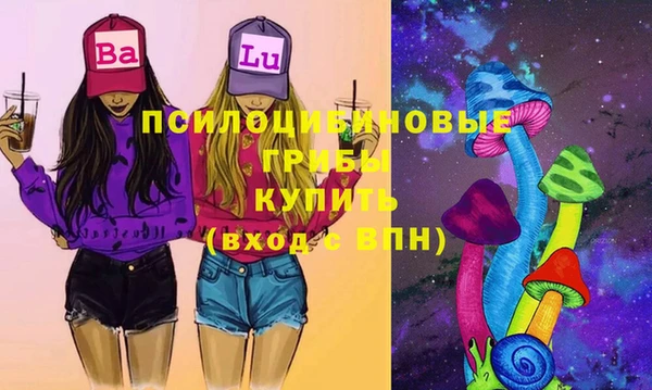 Альфа ПВП Лагань