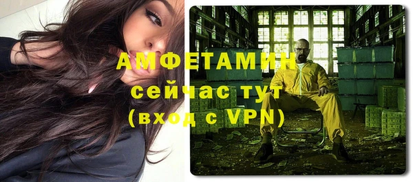 Альфа ПВП Лагань