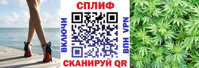 Канабис семена где купить наркоту Судогда